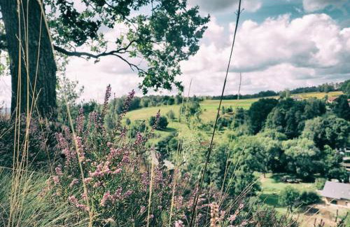 The Old Barn Luksusowa Stodoła z Całorocznym Jacuzzi Kominkiem i Widokiem na Wzgórza i Las dla 8-10 osób na Dolnym Śląsku min 2 noce - Foto 51