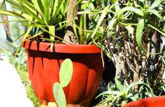 Private Villa AKOBARA, 2km from city center - Foto 39