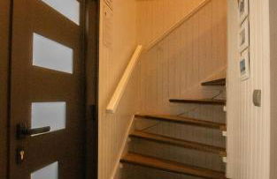 Le pic-vert - Foto 33