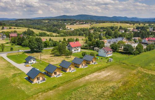 Domki Bieszczadzkie Marzenie 781-966-947 - Photo 37