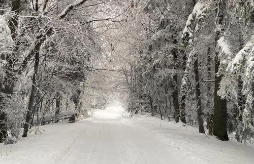 Domki pod Kamionna - Photo 38