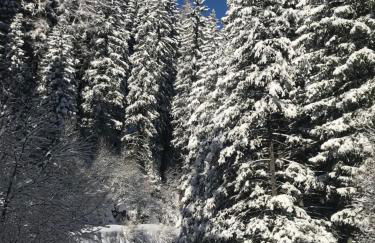 house of hearts - CIR10 - Foto 11