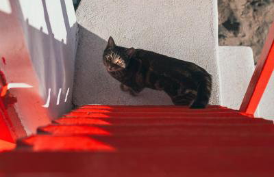 Fisherman House - Foto 28