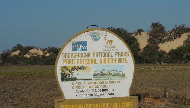 Reserva Privada Kirindy - Foto 4