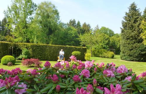 Fehn Appartements - Foto 46