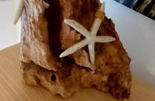 Acantilados de Los Gigantes, Islas Canarias, España - Foto 48