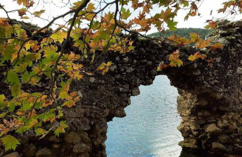 Arli House - Photo 42