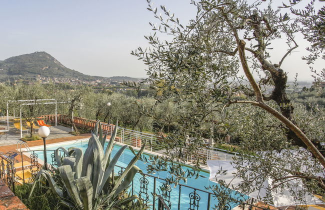 Borgo della Limonaia - Foto 32