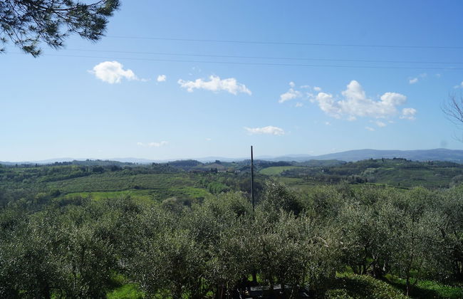 Villa Panconesi - Photo 46