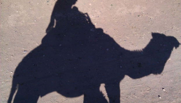 Profitez d'une balade à chameau