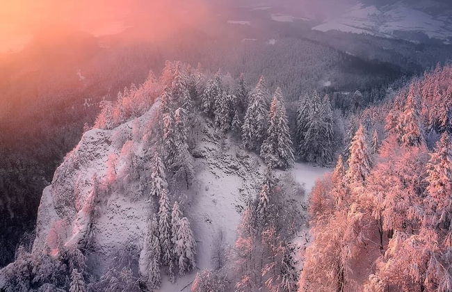 Jaworki Green Dream - Foto 59