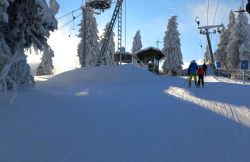 Apartements 270-275 Mitterdorf - Foto 14