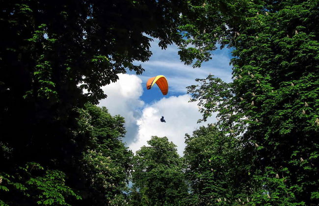 Excursión a Montaña Redonda - Foto 1