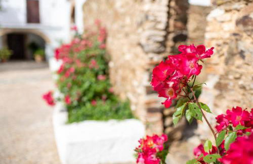 Finca El Azahar - Foto 79