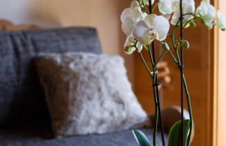 Gîte Balnéo Au Coeur des Alpes - Foto 16