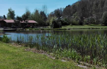 GITE LES ECUREUILS - Foto 4