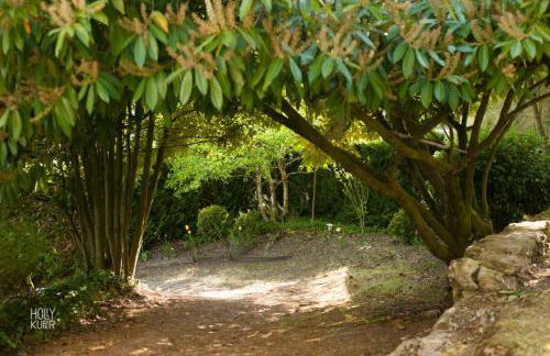 The Cygnet at the 'Songbird Sanctuary' - Foto 15