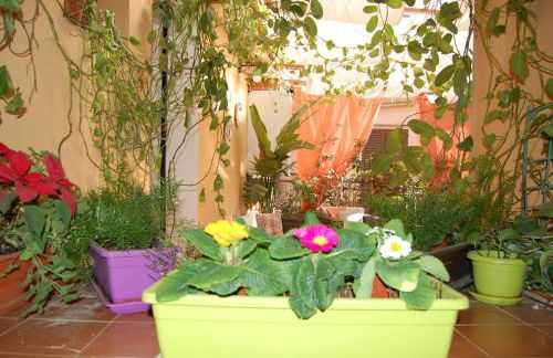 Al Vicoletto - Foto 40