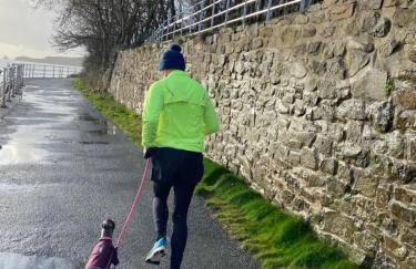 Adorable bedsit for you, partner and your pet! - Foto 36