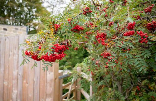 The Keep at Castlegate - Luxury detached retreat in Cragg vale, Hebden Bridge - Foto 30