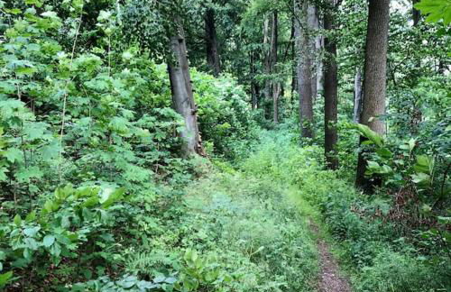 Happy Fuchsbau Ferienwohnung - Foto 11
