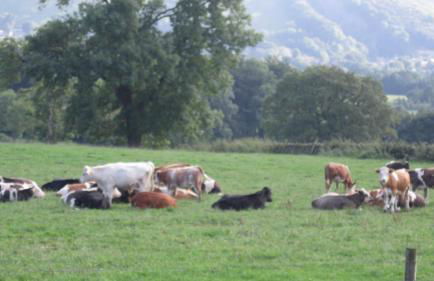 Riding house Farm Cottages - Photo 21