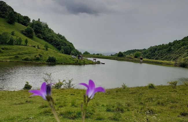 Room in Guest Room - Healthy Retreat Holiday in Mountain - Foto 32