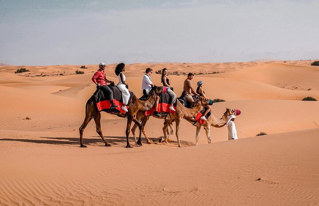 Dubai Private Evening Desert Safari - Photo 5