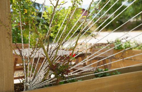 Agreste Agriturismo - Foto 37