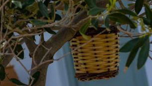 Martha's filoxenia - Photo 4