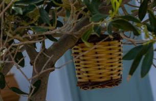 Martha's filoxenia - Photo 4