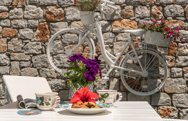 Maestralia - Foto 71