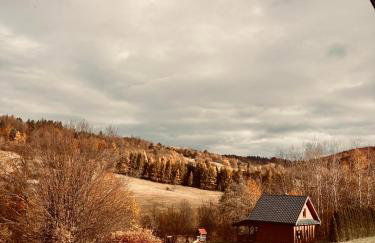 Bieszczady Żubrowe Wzgórze 785-049-543 - Foto 42