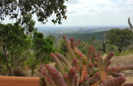 Casa ATMAN - Foto 54