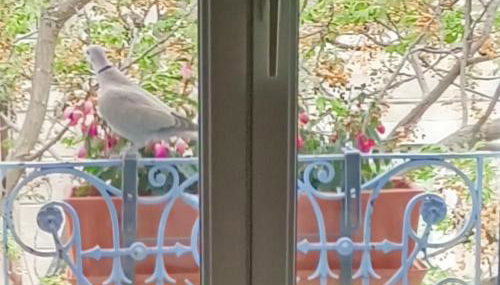 A deux pas d'Avignon - Foto 3