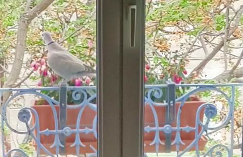 A deux pas d'Avignon - Foto 3