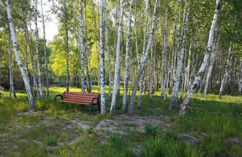 Nowa Wola 58 - 200qm appartment in a small village, with pool, sauna and big garden - Foto 6