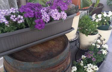 Papa's place - Foto 30