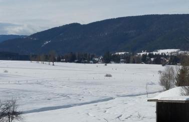 Grande maison familiale jusqu'à 14 personnes à Lans en Vercors - Foto 43