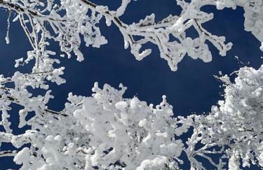 Stube9 am Feldberg, direkt an der Skipiste, Ski in-Ski out - Photo 53