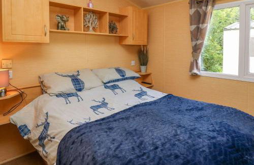 Caravan 2 at Blackmoor Farm near Tenby - Foto 11