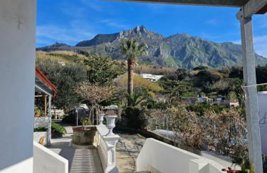 Residence Limoneto Ischia - Foto 12