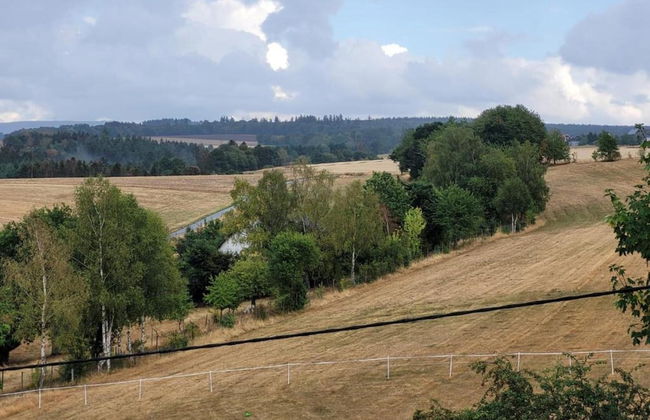 Holiday Home Moselle With Private Sauna - Photo 39