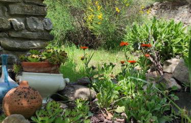 Il cortile dei frutti selvatici - Photo 44