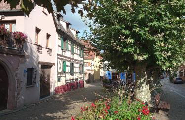 Gites Aux Fines Bulles d'Alsace - Foto 7