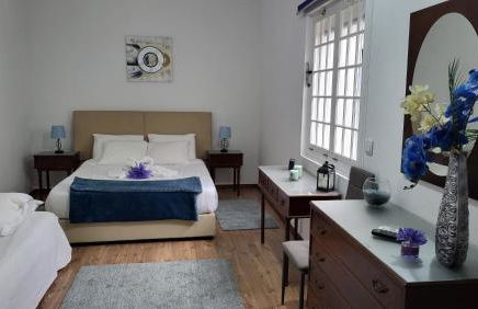 The Blue Hydrangea - Photo 1