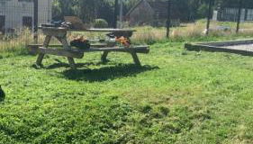 Gîte de la Belette_Montagne de La Bresse - Foto 2, Garden, Garden view