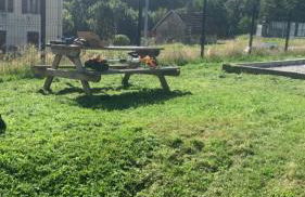 Gîte de la Belette_Montagne de La Bresse - Foto 2