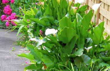 Maison charmante à Cajarc - Photo 12