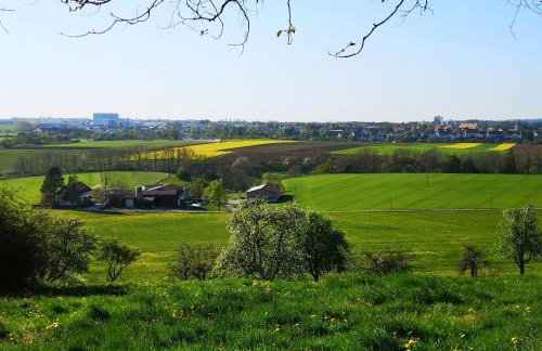 Ferienhaus am Hummelberghof - Foto 10